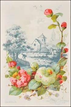 Edition de la Chocolaterie d'Aiguebelle ; Baster & Vieillemard carte réclame chromo 1878-1914 1996.40.1114.4 Photo
