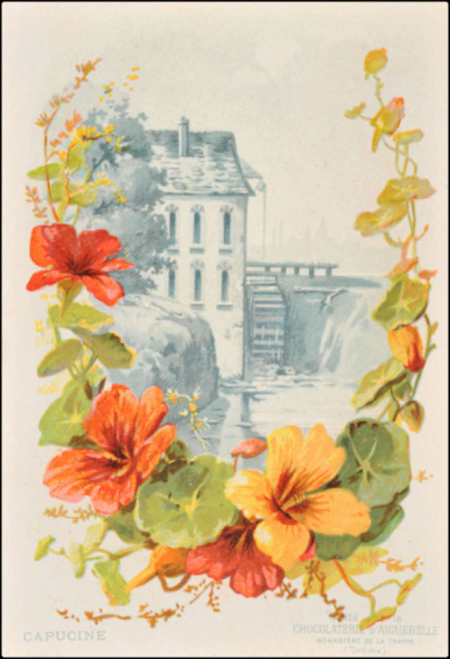 Edition de la Chocolaterie d'Aiguebelle ; Baster & Vieillemard carte réclame chromo 1878-1914 1996.40.1114.5 Photo