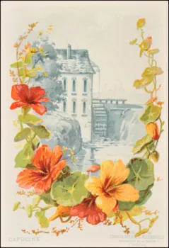 Edition de la Chocolaterie d'Aiguebelle ; Baster & Vieillemard carte réclame chromo 1878-1914 1996.40.1114.5  Photo