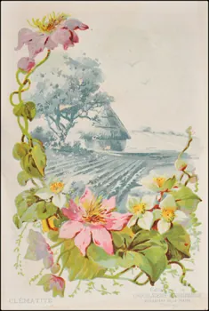Edition de la Chocolaterie d'Aiguebelle ; Baster & Vieillemard carte réclame chromo 1878-1914 1996.40.1114.6  Photo