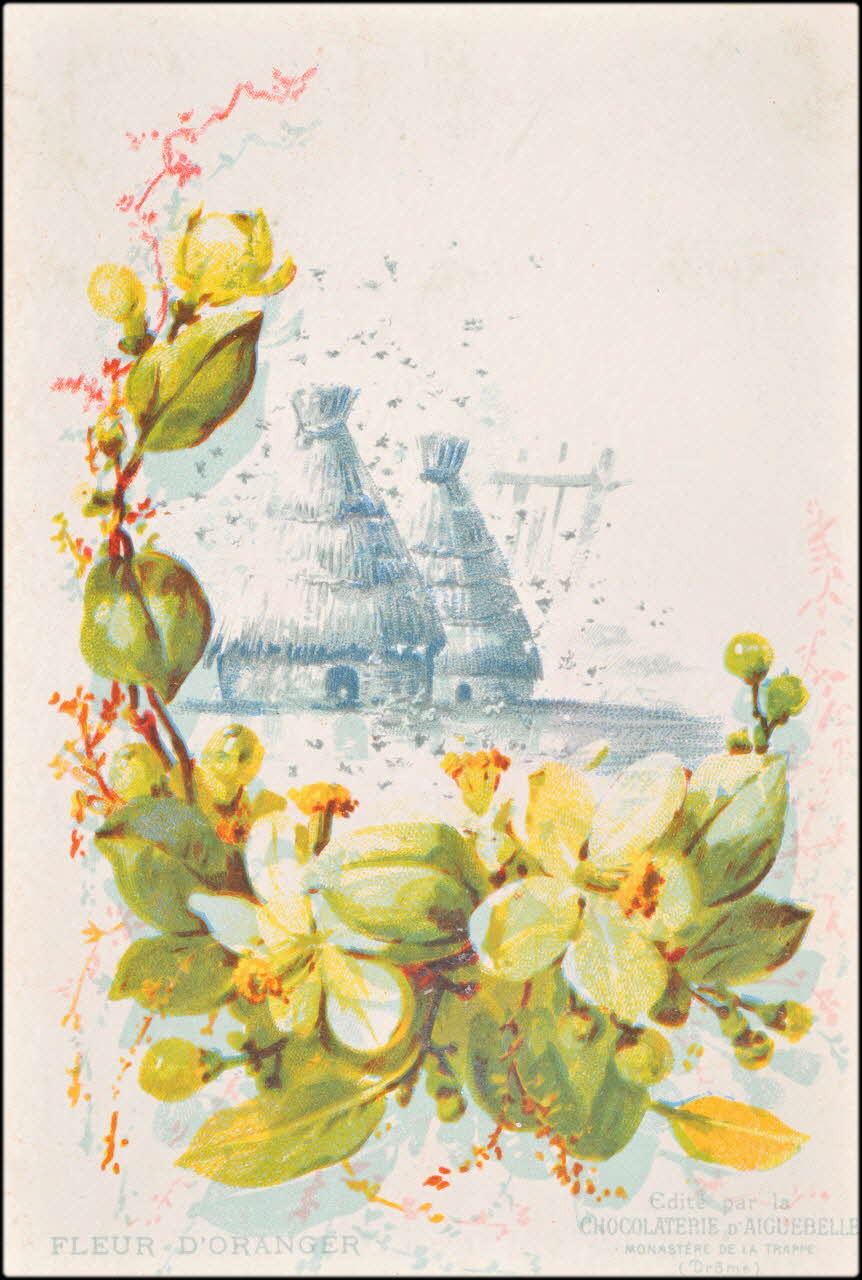 Edition de la Chocolaterie d'Aiguebelle ; Baster & Vieillemard carte réclame chromo 1878-1914 1996.40.1114.9 Photo