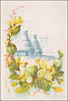 Edition de la Chocolaterie d'Aiguebelle ; Baster & Vieillemard carte réclame chromo 1878-1914 1996.40.1114.9  Photo