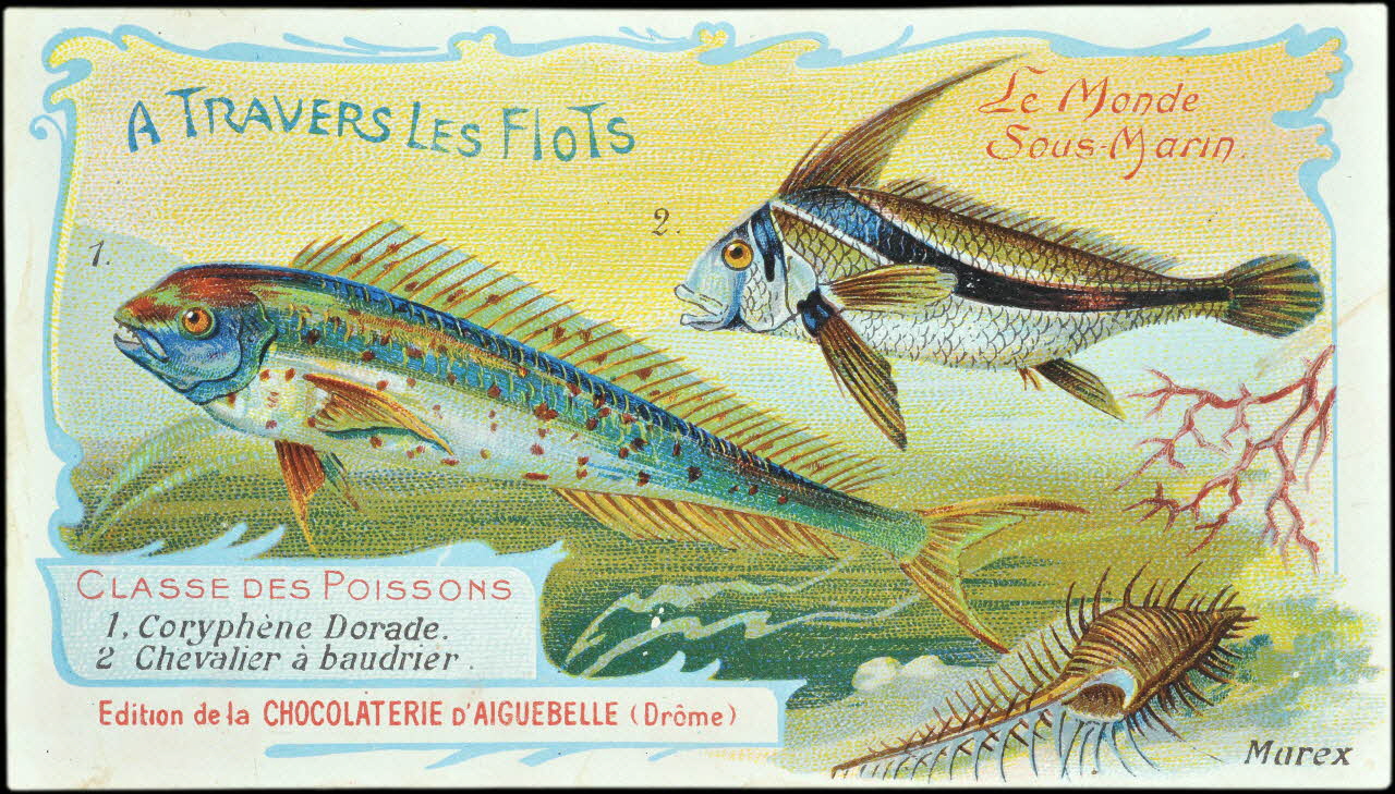 Edition de la Chocolaterie d'Aiguebelle carte réclame chromo Rhône-Alpes, France 1900-1920 1996.40.293.13 Photo