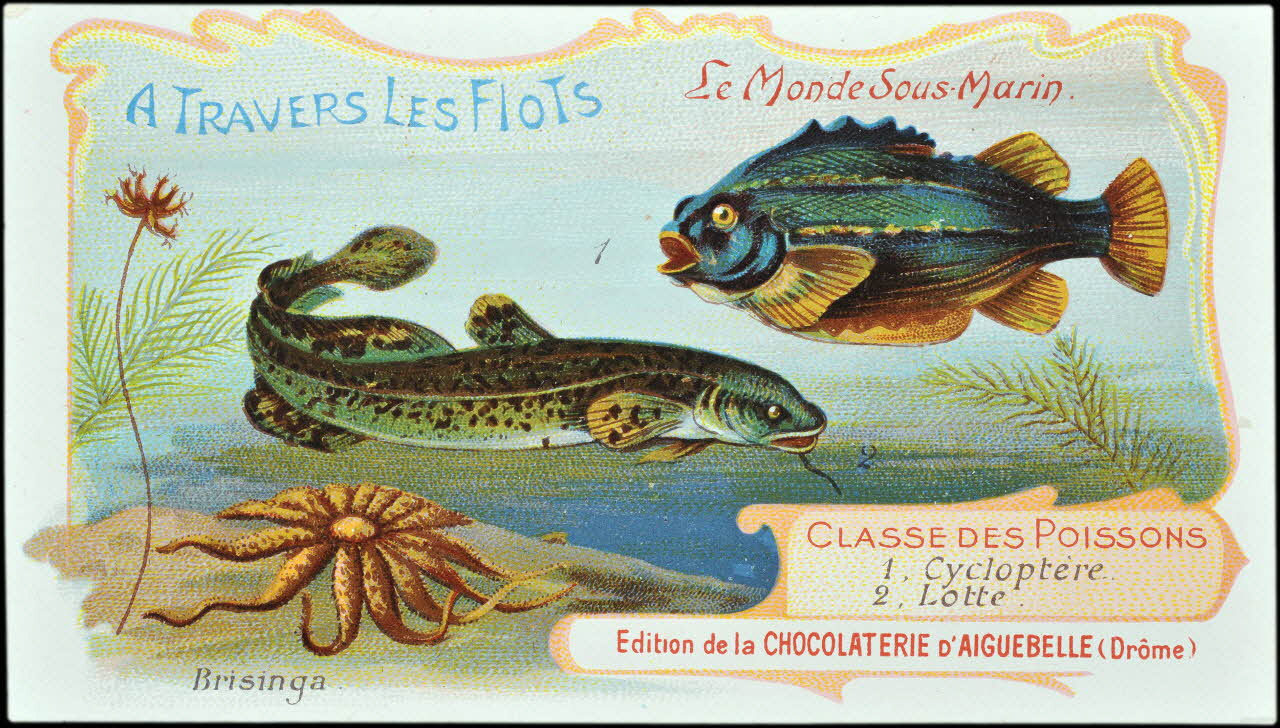 Edition de la Chocolaterie d'Aiguebelle carte réclame chromo Rhône-Alpes, France 1900-1920 1996.40.293.15 Photo