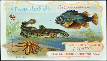 Edition de la Chocolaterie d'Aiguebelle carte réclame chromo Rhône-Alpes, France 1900-1920 1996.40.293.15 Photo