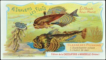 Edition de la Chocolaterie d'Aiguebelle carte réclame chromo Rhône-Alpes, France 1900-1920 1996.40.293.16 Photo