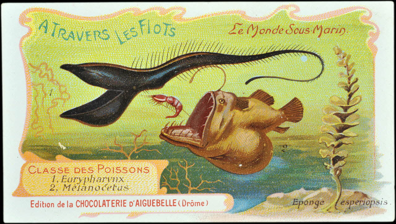 Edition de la Chocolaterie d'Aiguebelle carte réclame chromo Rhône-Alpes, France 1900-1920 1996.40.293.18 Photo