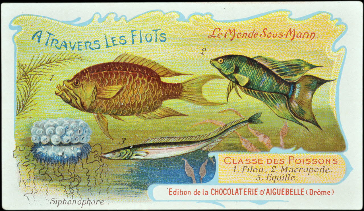 Edition de la Chocolaterie d'Aiguebelle carte réclame chromo Donzère 1900-1920 1996.40.293.20 Photo