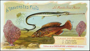 Edition de la Chocolaterie d'Aiguebelle carte réclame chromo Donzère 1900-1920 1996.40.293.21 Photo