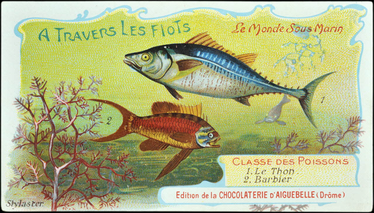 Edition de la Chocolaterie d'Aiguebelle carte réclame chromo Donzère 1900-1920 1996.40.293.45 Photo
