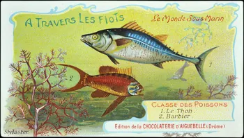 Edition de la Chocolaterie d'Aiguebelle carte réclame chromo Donzère 1900-1920 1996.40.293.45 Photo
