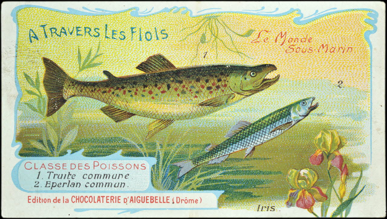 Edition de la Chocolaterie d'Aiguebelle carte réclame chromo Donzère 1900-1920 1996.40.293.46 Photo