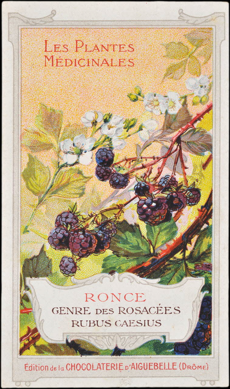 Edition de la Chocolaterie d'Aiguebelle carte réclame chromo Donzère 1900-1920 1996.40.294.14 Photo