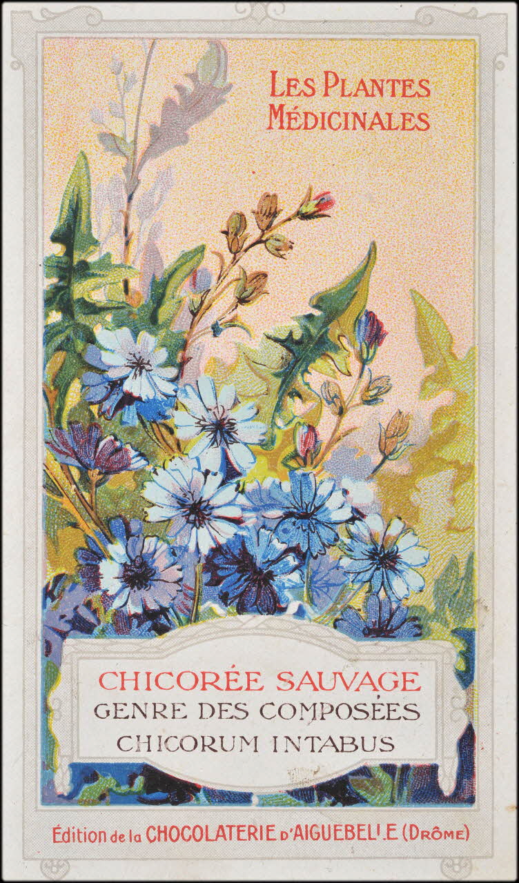 Edition de la Chocolaterie d'Aiguebelle carte réclame chromo Donzère 1900-1920 1996.40.294.5 Photo