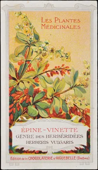 Edition de la Chocolaterie d'Aiguebelle carte réclame chromo Donzère 1900-1920 1996.40.294.6 Photo