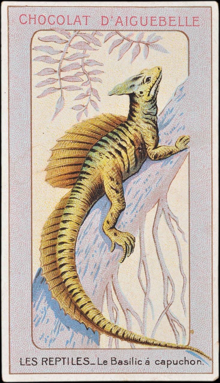 Edition de la Chocolaterie d'Aiguebelle carte réclame chromo Donzère 1900-1920 1996.40.295.1 Photo