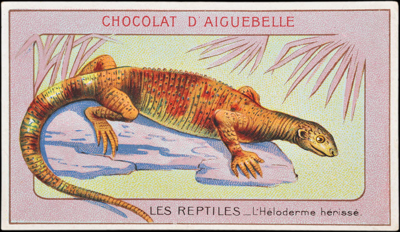 Edition de la Chocolaterie d'Aiguebelle carte réclame chromo Donzère 1900-1920 1996.40.295.11 Photo