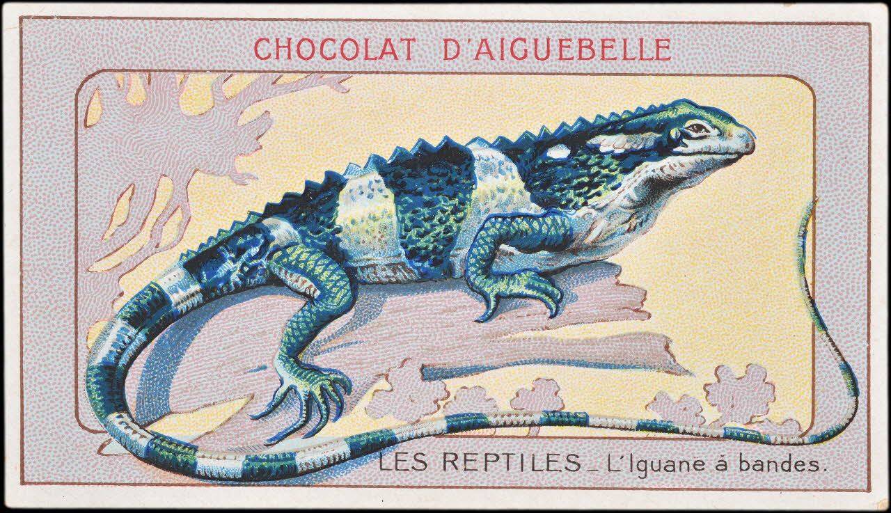 Edition de la Chocolaterie d'Aiguebelle carte réclame chromo Donzère 1900-1920 1996.40.295.12 Photo