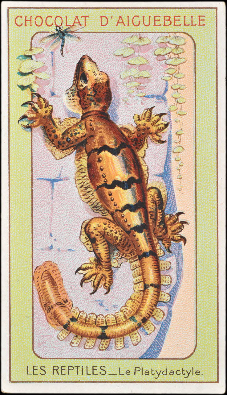 Edition de la Chocolaterie d'Aiguebelle carte réclame chromo Donzère 1900-1920 1996.40.295.14 Photo