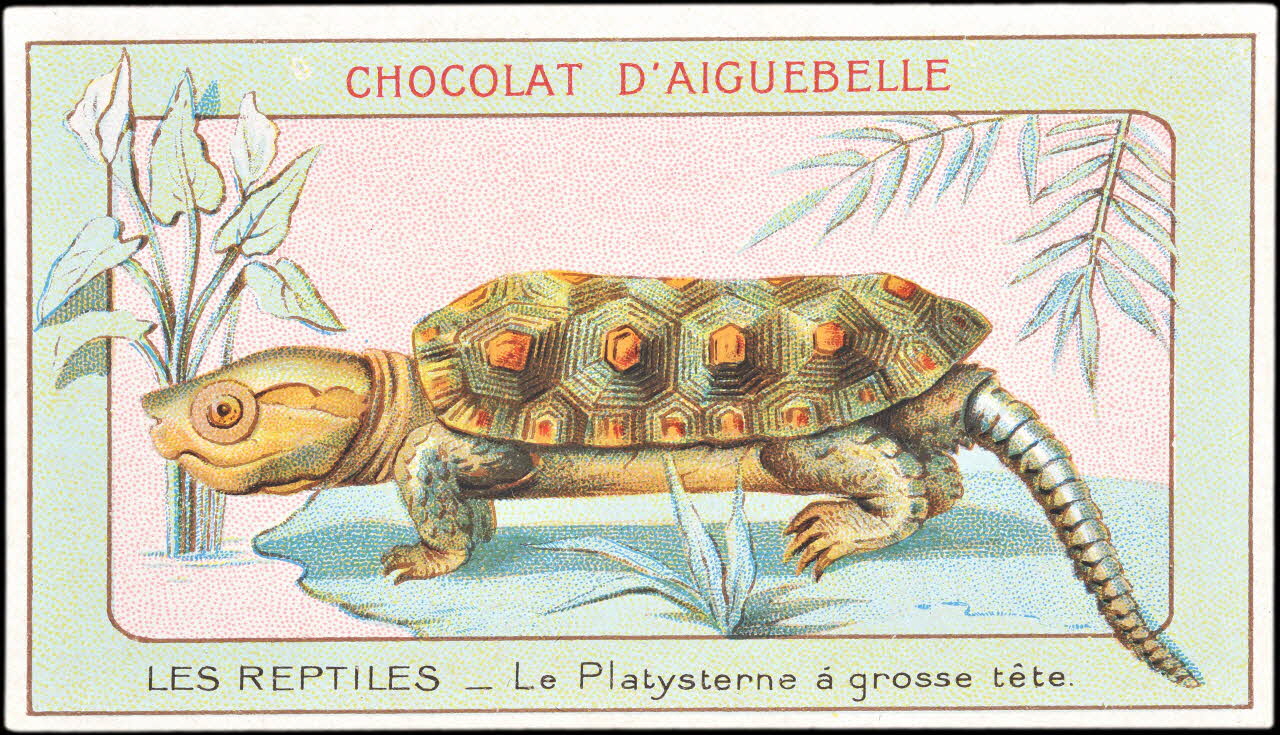Edition de la Chocolaterie d'Aiguebelle carte réclame chromo Donzère 1900-1920 1996.40.295.15 Photo