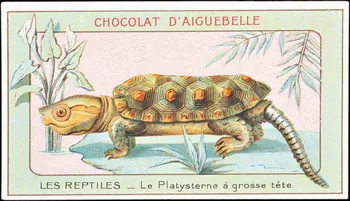 Edition de la Chocolaterie d'Aiguebelle carte réclame chromo Donzère 1900-1920 1996.40.295.15  Photo