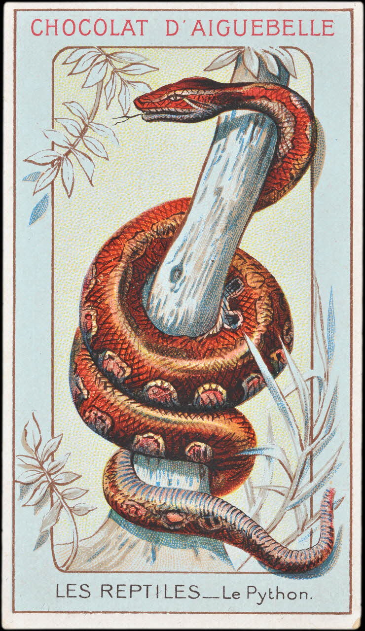 Edition de la Chocolaterie d'Aiguebelle carte réclame chromo Donzère 1900-1920 1996.40.295.16  Photo