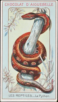 Edition de la Chocolaterie d'Aiguebelle carte réclame chromo Donzère 1900-1920 1996.40.295.16 Photo