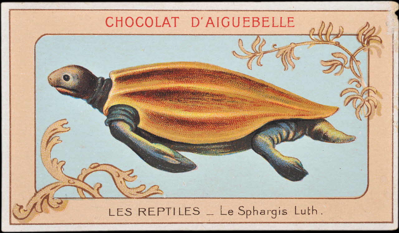 Edition de la Chocolaterie d'Aiguebelle carte réclame chromo Donzère 1900-1920 1996.40.295.17 Photo