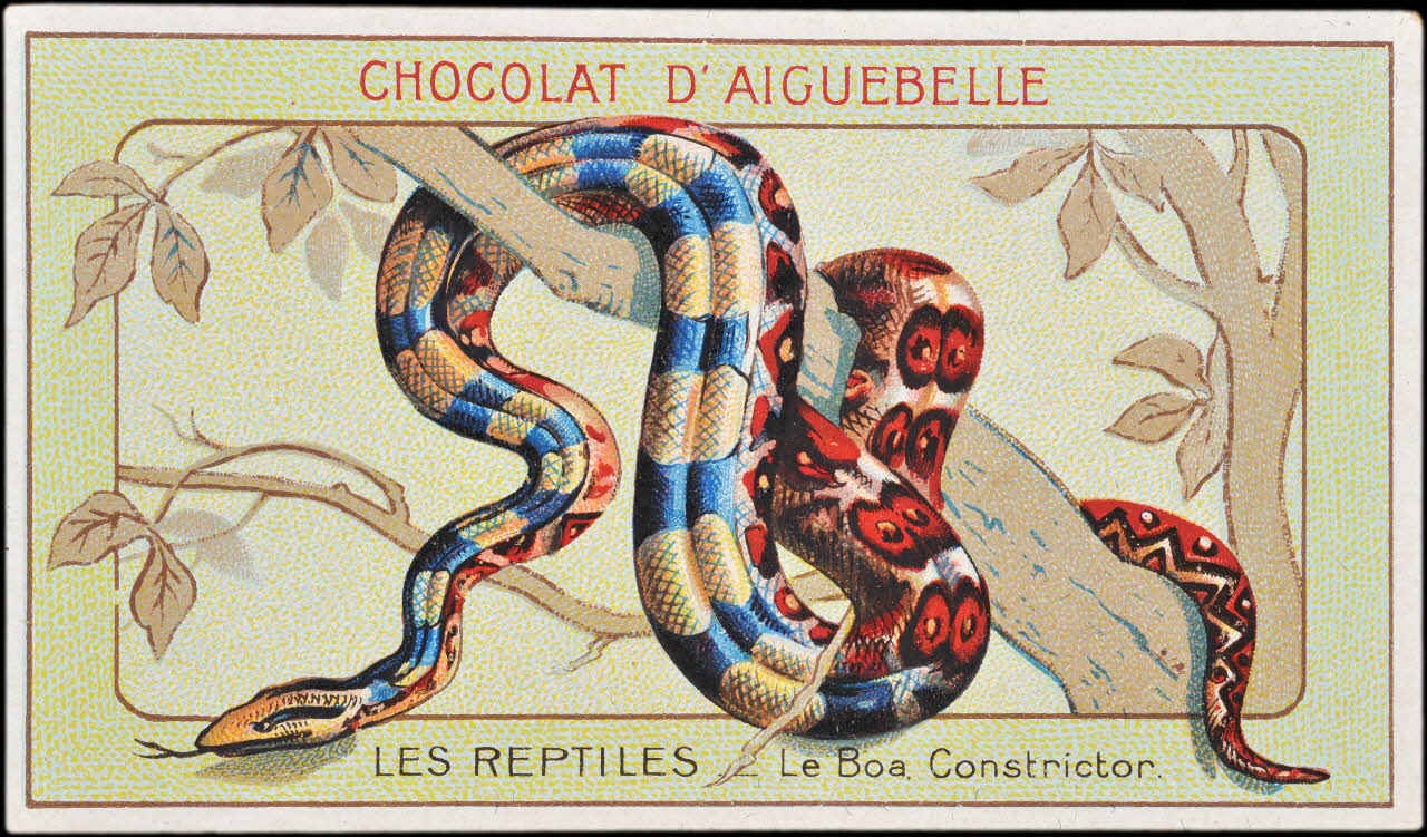 Edition de la Chocolaterie d'Aiguebelle carte réclame chromo Donzère 1900-1920 1996.40.295.2 Photo