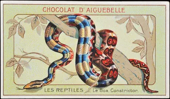 Edition de la Chocolaterie d'Aiguebelle carte réclame chromo Donzère 1900-1920 1996.40.295.2 Photo