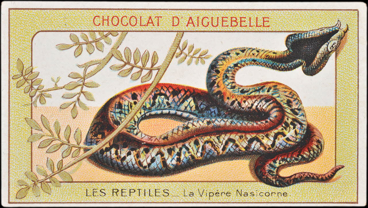 Edition de la Chocolaterie d'Aiguebelle carte réclame chromo Donzère 1900-1920 1996.40.295.20 Photo