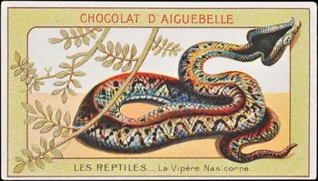 Edition de la Chocolaterie d'Aiguebelle carte réclame chromo Donzère 1900-1920 1996.40.295.20 Photo