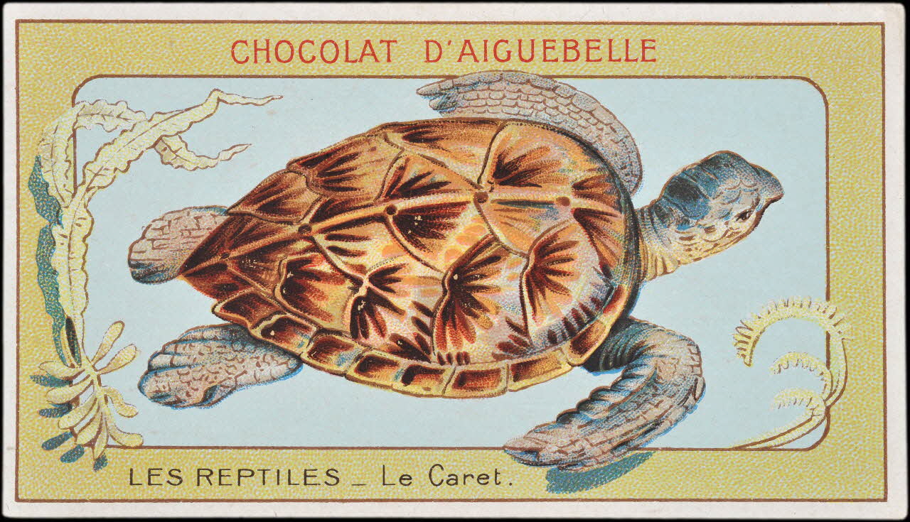 Edition de la Chocolaterie d'Aiguebelle carte réclame chromo Donzère 1900-1920 1996.40.295.4 Photo