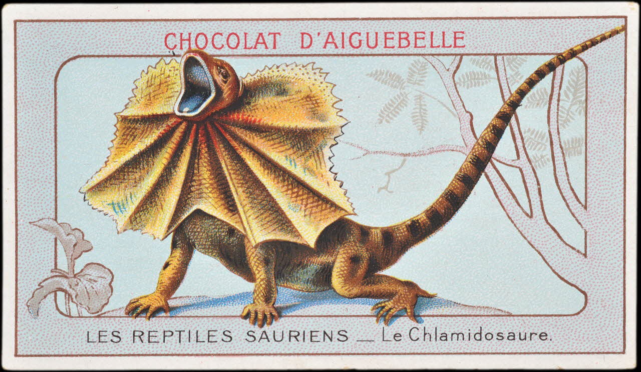 Edition de la Chocolaterie d'Aiguebelle carte réclame chromo Donzère 1900-1920 1996.40.295.7 Photo