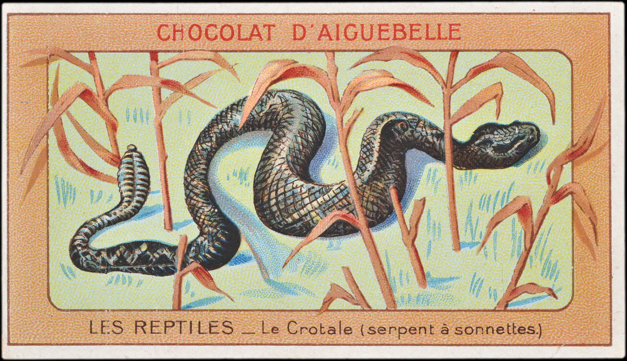 Edition de la Chocolaterie d'Aiguebelle carte réclame chromo Donzère 1900-1920 1996.40.295.9 Photo