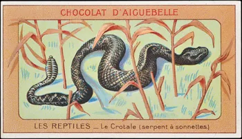 Edition de la Chocolaterie d'Aiguebelle carte réclame chromo Donzère 1900-1920 1996.40.295.9 Photo