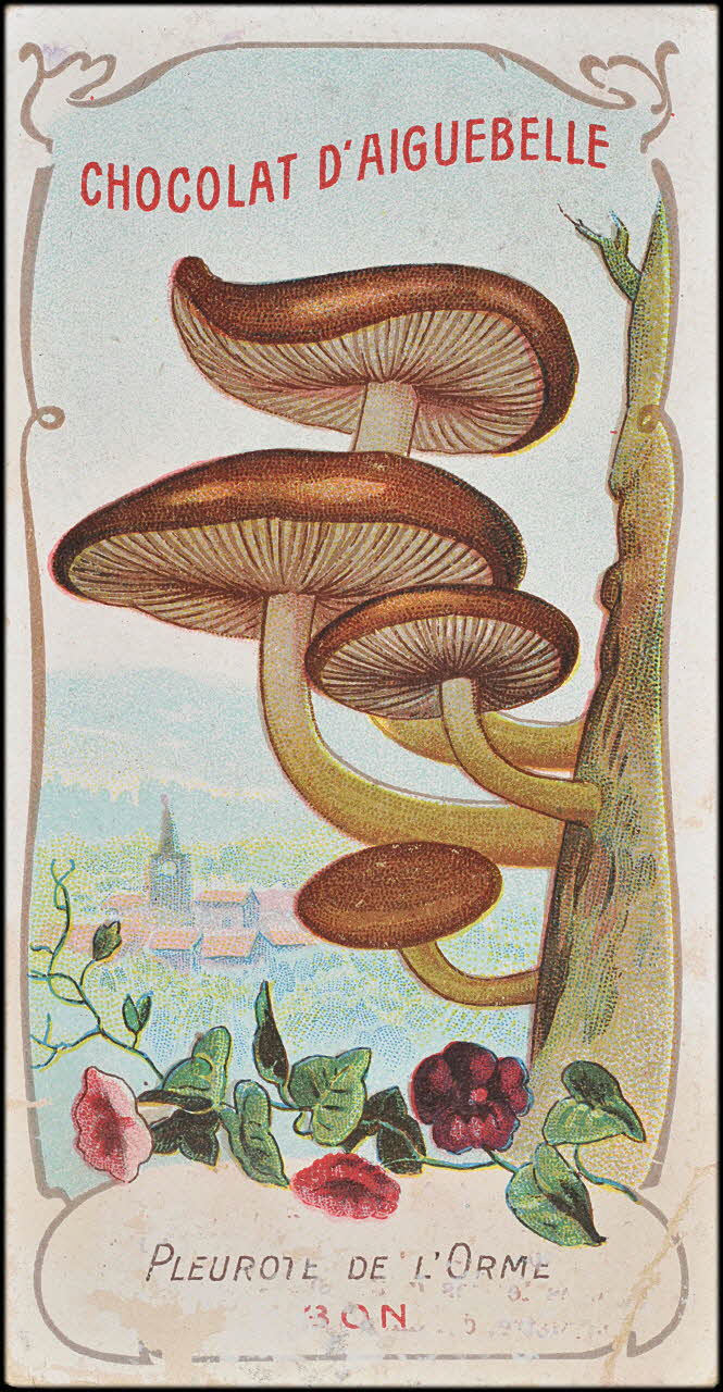 Edition de la Chocolaterie d'Aiguebelle carte réclame chromo Rhône-Alpes, France 1900-1919 1996.40.371.28 Photo