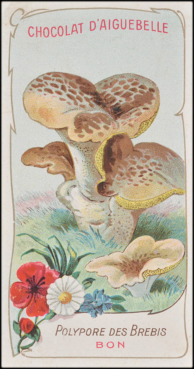Edition de la Chocolaterie d'Aiguebelle carte réclame chromo Rhône-Alpes, France 1900-1919 1996.40.371.30 Photo