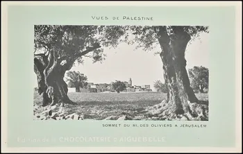 Edition de la Chocolaterie d'Aiguebelle carte postale publicitaire chromo Rhône-Alpes, France 1900-1919 1996.40.380.15  Photo