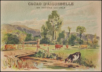 Chocolaterie d'Aiguebelle (éditeur), Tauzin Louis carte réclame chromo 1900-1919 1996.40.469.4  Photo