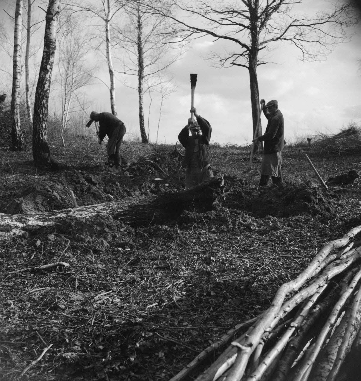 Marc Augier photographie MNATP. Enquête à Romenay Bourgogne, France 1937/2/1 Ph.1937.108 Photo