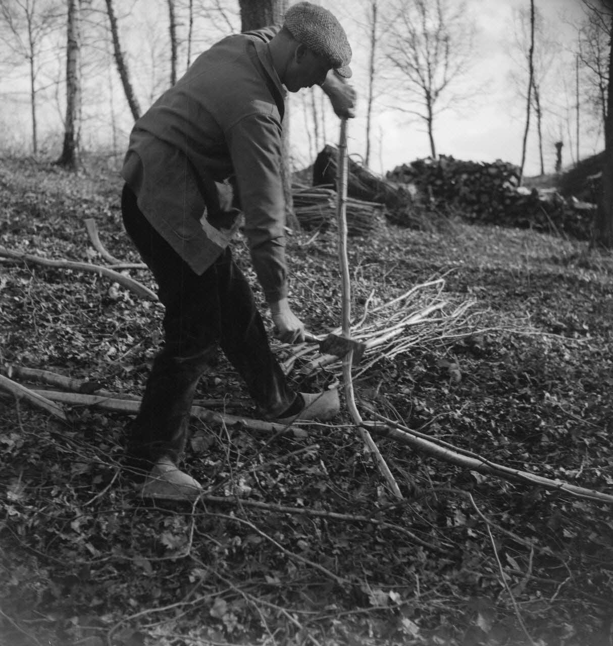 Marc Augier photographie MNATP. Enquête à Romenay Bourgogne, France 1937/2/1 Ph.1937.112 Photo