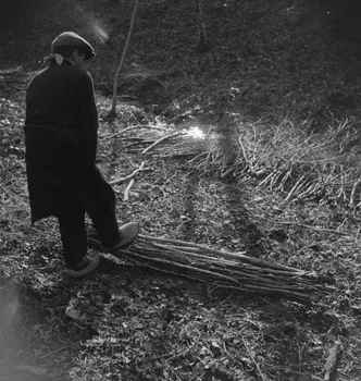 Marc Augier photographie MNATP. Enquête à Romenay Bourgogne, France 1937/2/1 Ph.1937.114  Photo