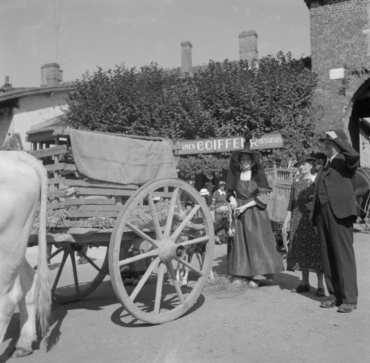 Duchemin photographie MNATP. Enquête à Romenay Bourgogne, France 1937/9/5 Ph.1937.2786 Photo