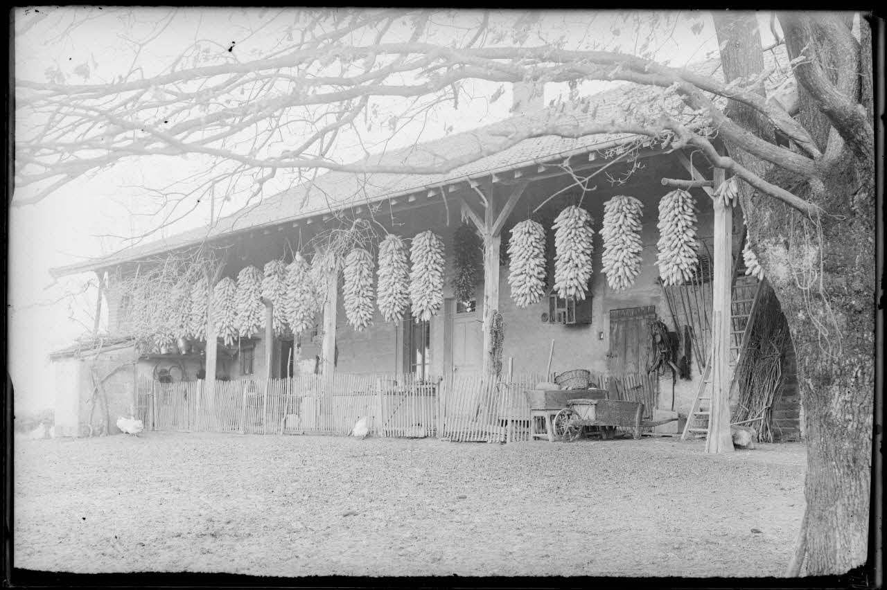 Bonnet photographie MNATP. Enquête à Romenay Bourgogne, France 1937 Ph.1937.3341 Photo