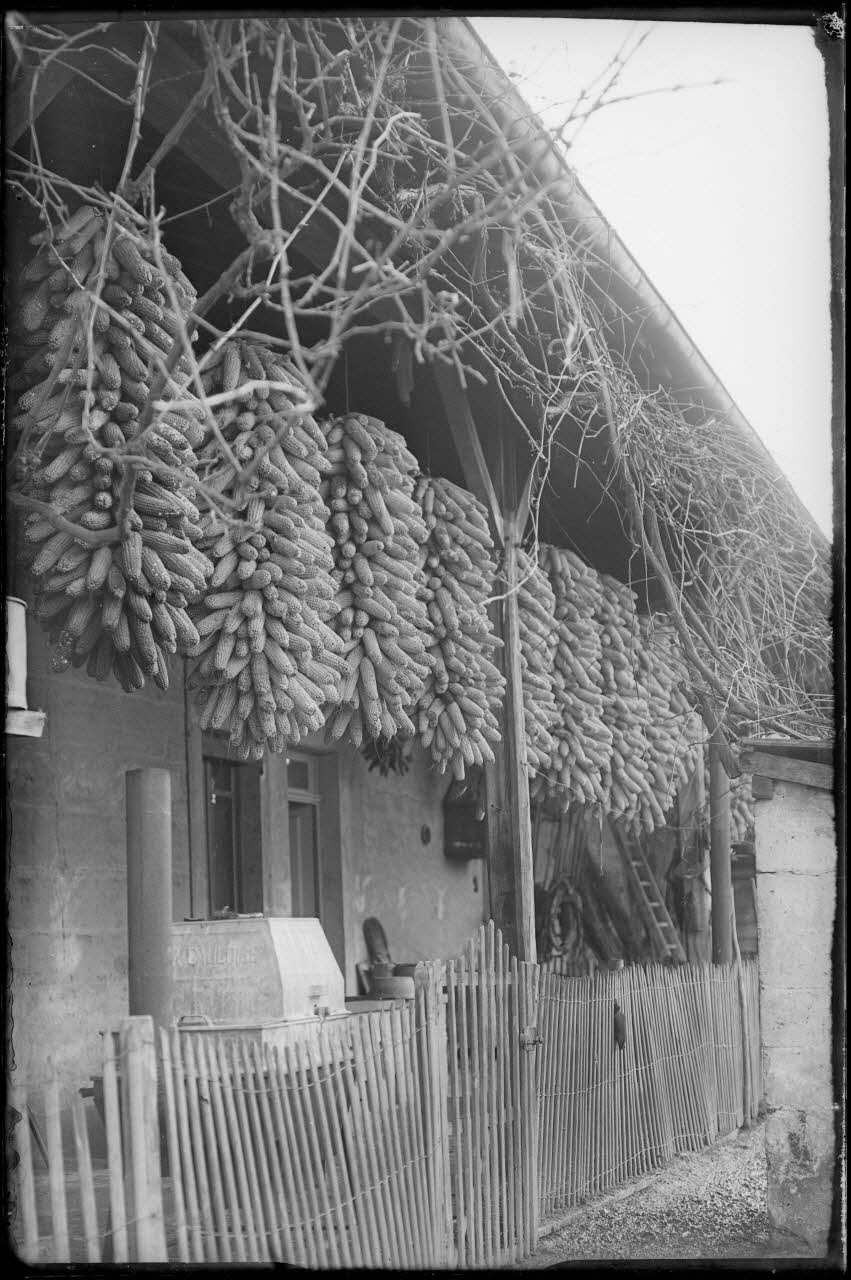 Bonnet photographie MNATP. Enquête à Romenay Bourgogne, France 1937 Ph.1937.3344 Photo