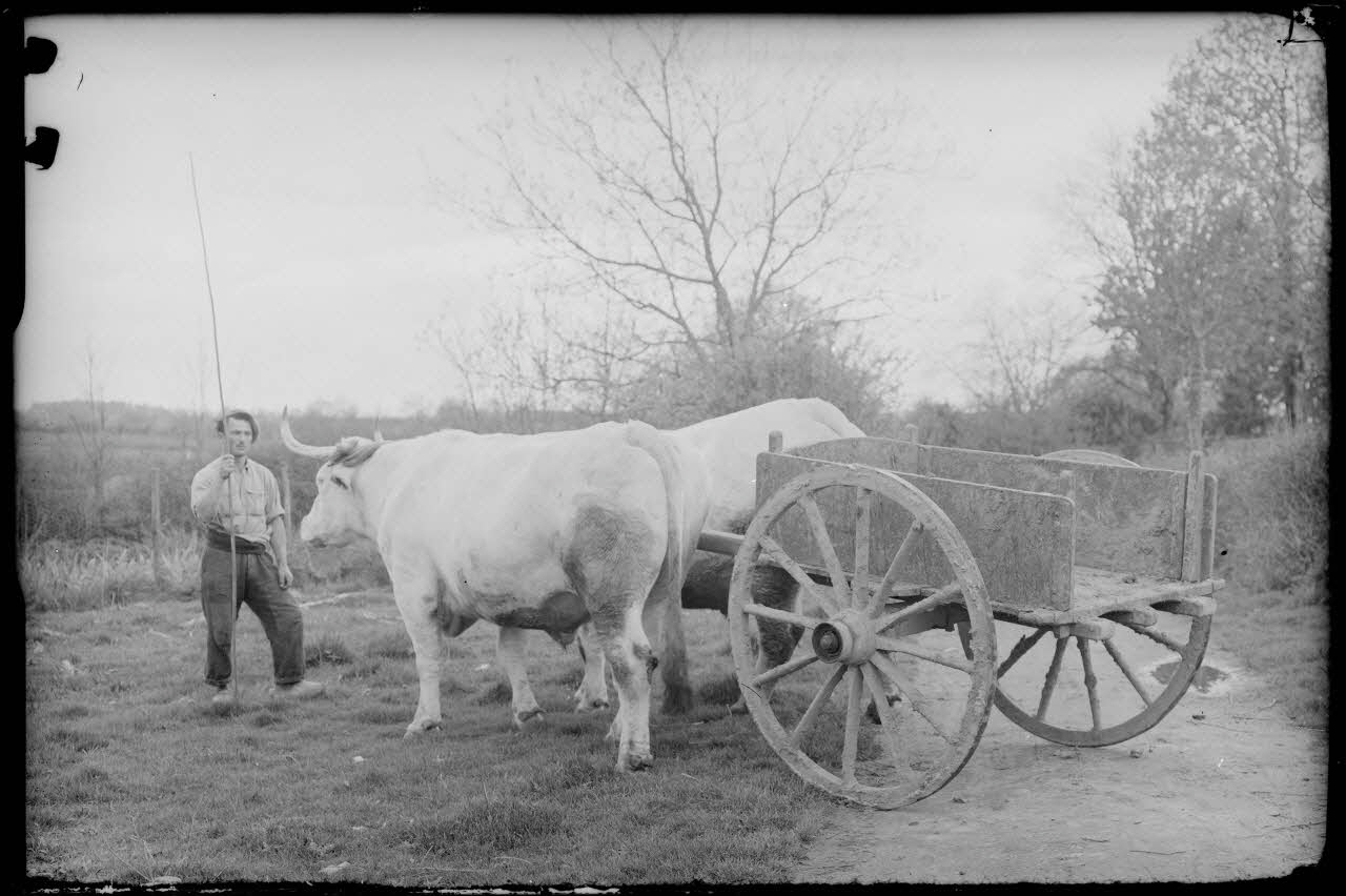 Bonnet photographie MNATP. Enquête à Romenay Bourgogne, France 1937/4/1 Ph.1937.396 Photo