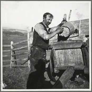 Anonyme photographie Vacher avec sa selle, siège à un seul pied. Dans le Cantal, sur les hauts pâturages de montagne où les vacheries passent des mois d'estive, le vacher a souvent un grand nombre de bêtes à traire. S'il utilisait un petit banc, comme cela se fait ailleurs, il n'aurait pas ses deux mains libres et perdrait du temps pour le déplacer. Dans la Haute-Auvergne, le vacher se sert d'un siège à un seul pied - la selle - fixé à demeure à son postérieur pendant toute la durée de la traite, à l'aide de deux courroies de cuir passant entre les jambes et venant se rattacher solidement à la selle à la hauteur des reins. Le vacher a ainsi ses mains disponibles. Quand il s'accroupit, la selle forme avec ses jambes un trépied sur lequel le buste repose d'une façon très stable. A noter que les bergers se plaisent à donner souvent à la selle une forme phallique qui leur fait une allure étrange quand ils sont debout. (Henri Lelong) Auvergne, France 1937 Ph.1937.947.B  Photo