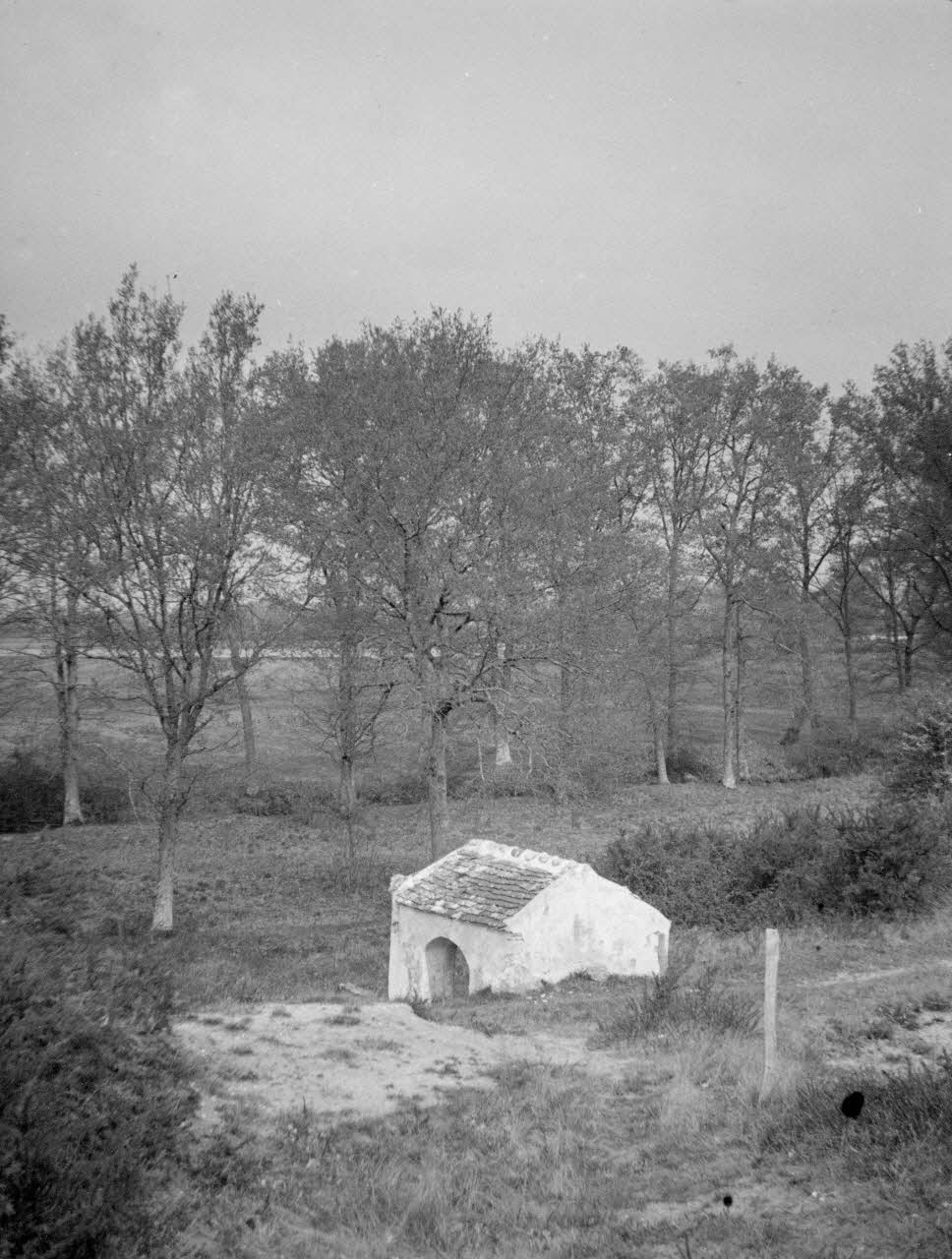 Weger photographie MNATP. Enquête sur la Sologne Centre, France 1938/4/25 Ph.1938.1.481 Photo