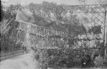 Mireille Place photographie MNATP. Mission de Marcel Maget et André Varagnac en Provence (novembre 1938) Provence-Alpes-Côte d'Azur, France 1938/9/21 Ph.1938.11.111 Photo Mucem / Mireille Place